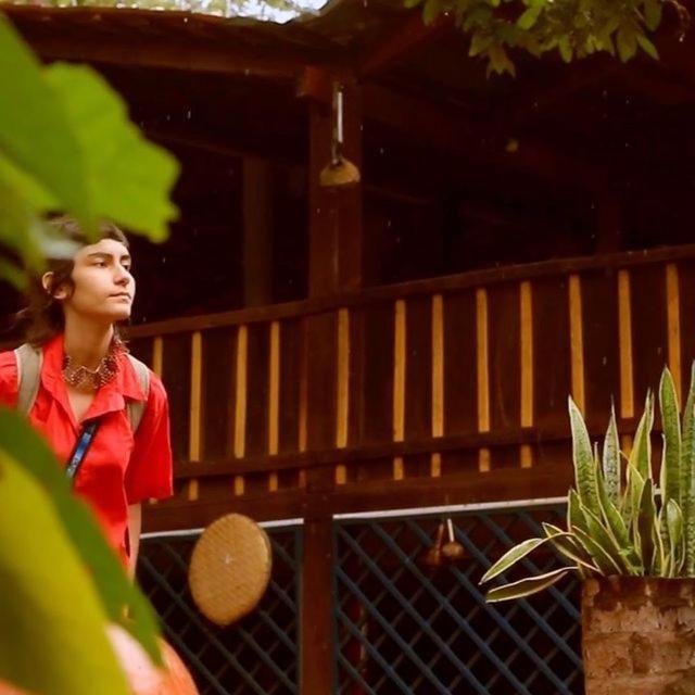 Hospedagem Aldeia Do Leao Hotel Carolina  Buitenkant foto