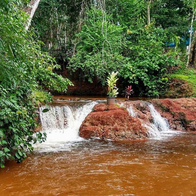 Hospedagem Aldeia Do Leao Hotel Carolina  Buitenkant foto
